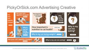 PickyOrSick.com Digital Campaign