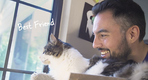 The Importance of Regular Cat Exams