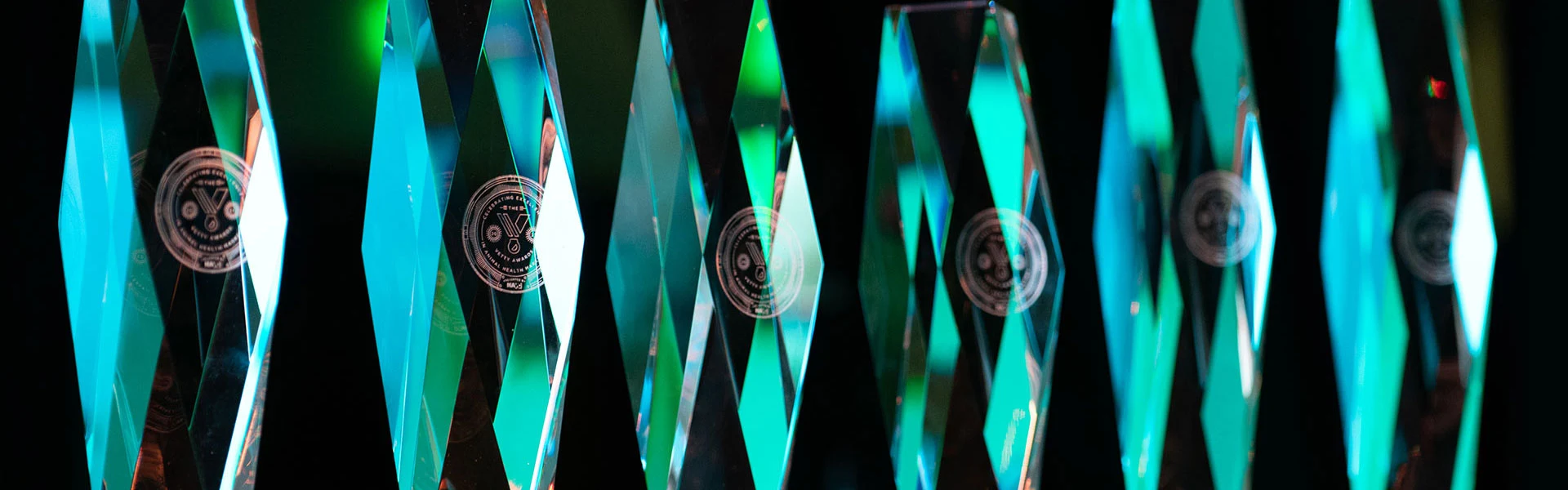 A line of crystal marketing awards provided to grand prize winners of NAVC’s annual VETTY Awards®.