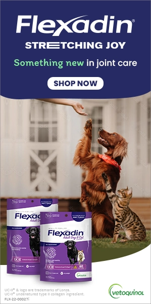 Flexadin Stretching Joy Consumer Campaign