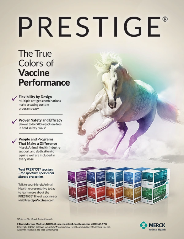 The True Colors of PRESTIGE®