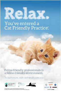 AAFP Cat Friendly Practice Poster