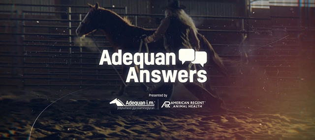 Adequan Answers Treatment and Re-treatment Video