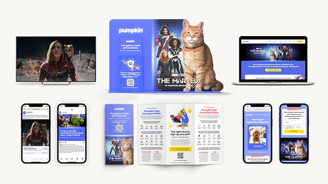"The Galaxy's Best Pet Insurance" Campaign