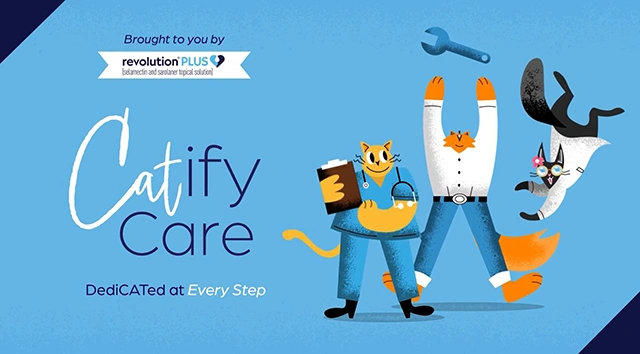 Catify Care