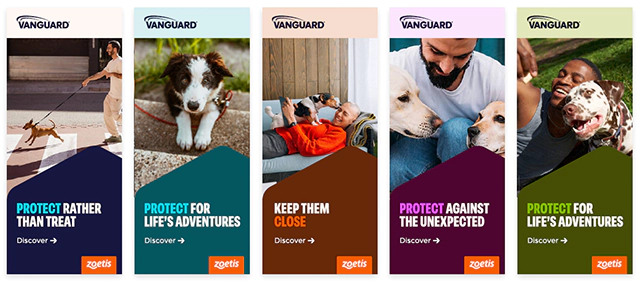 Zoetis Vanguard® Vaccines Portfolio Rebrand